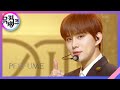 Perfume NCT DOJAEJUNG 뮤직뱅크 Music Bank KBS 230428 방송