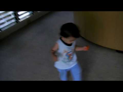 Joey going for walkabout