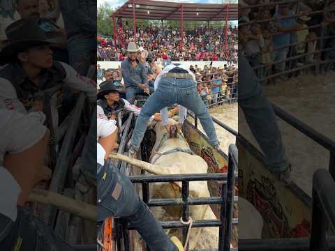 #jaripeomexicano