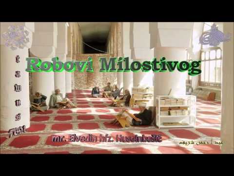 Robovi Milostivog - mr. Elvedin hfz. Huseinbašić