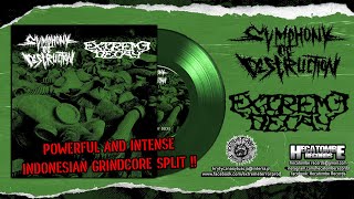SYMPHONY OF DESTRUCTION/EXTREME DECAY 7&quot;ep split 2023