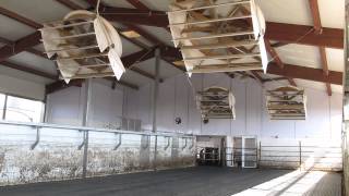 De Cyclone's van Agrotel-Benelux in actie!