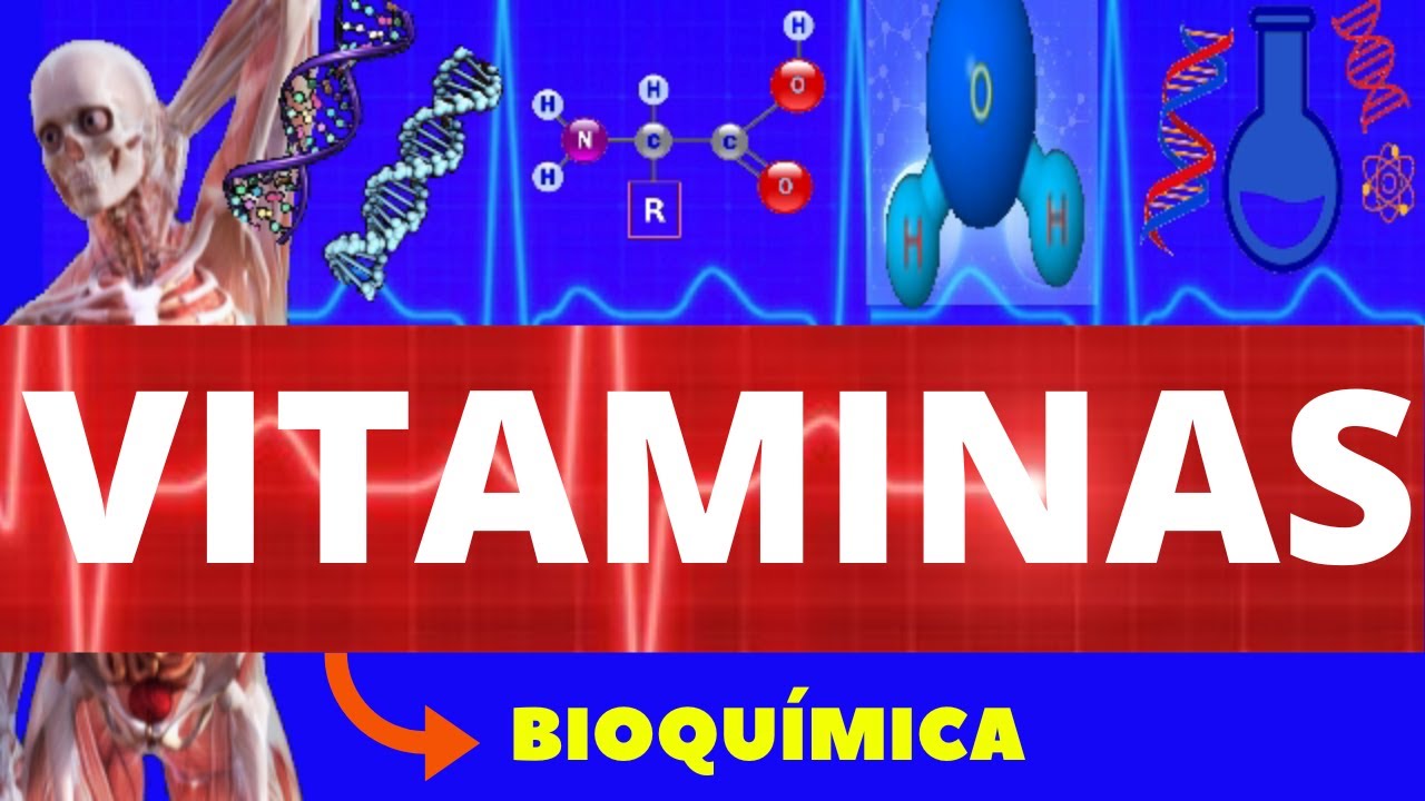 VITAMINAS - BIOQUÍMICA - TIPOS, FUNÇÕES E CARÊNCIA - ENSINO SUPERIOR - COMPOSTOS ORGÂNICOS