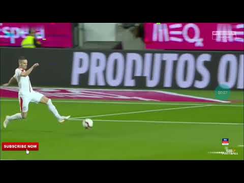 Dušan Tadić GOAL PORTUGAL VS SERBIA 1:1
