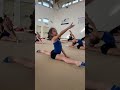 Flessibilità Della Schiena E La Spaccata Ginnasticaritmica Ritmica Fgi Ritmica