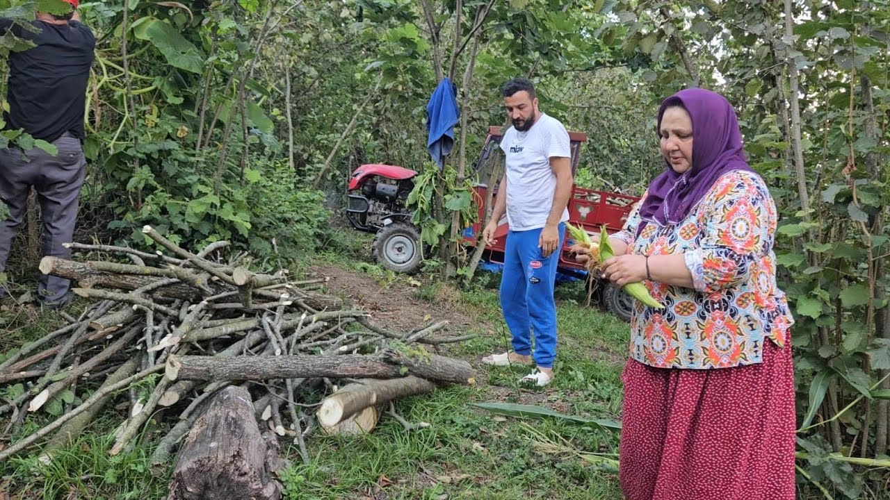 🌄 OĞLUMUN KIŞ ODUNLARIYLA GÜÇ KAZANIYORUZ🪵TAVUKLAR VE ÖRDEKLER BAHÇEDE ŞENLİKTE🐔🦆