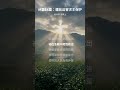 诗篇54篇：遭敌迫害求主保护