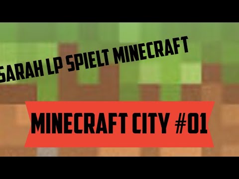 ICH spiele MINECRAFT auf der WII U - Sarah LP