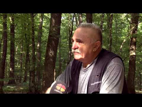 KARTE NA STOL 04.08.2021. Hrvoje Knežević