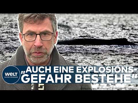 Video Thumbnail: WAL-DRAMA: Tragischer Fund – Buckelwal vor dänischer Küste! Ist es Timmy?