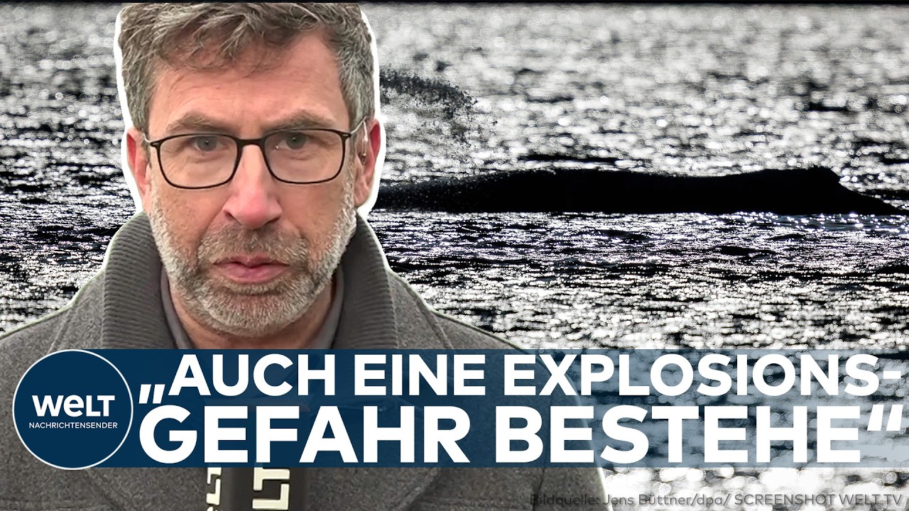 WAL-DRAMA: Tragischer Fund – Buckelwal vor dänischer Küste! Ist es Timmy?