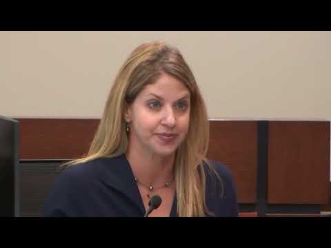 Wendi Adelson testimony reveals Donna Adelson emails advising daughter in divorce from Dan Markel