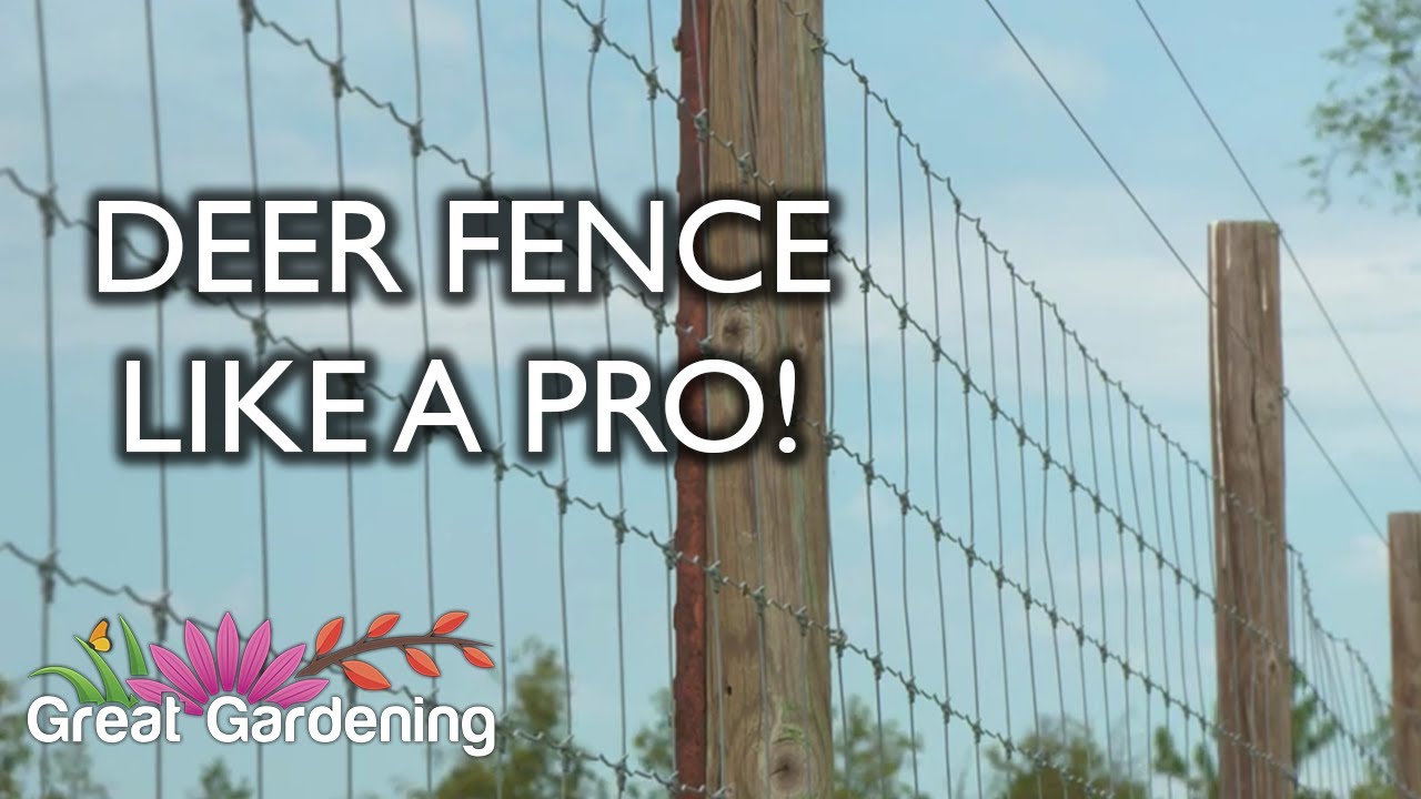 Deer Fence Like a Pro!