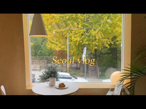 Vlog de Seul I A rua comercial subterrânea mais larga do mundo, visitando cafés e lojas escondidas longe dos turistas, um hotel bem localizado a 1 minuto a pé da estação, refeição recomendada para uma pessoa