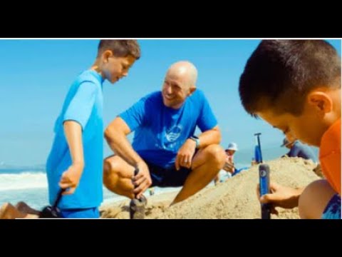 PUFFERFISH | Awesome Sand Castle Tools