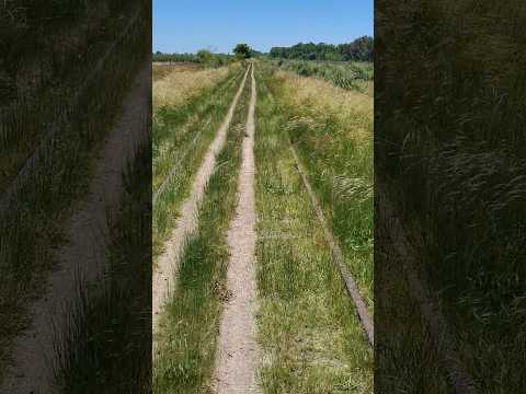 Vías Ferroviarias y Campo en Coronel Brandsen Buenos Aires Argentina