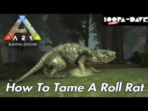 How To Tame A Roll Rat Ark Survival Evolved Aberration Guide