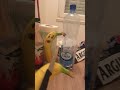 Don T Mess With My Banana