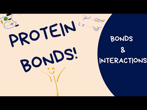 Protein Bonds in Under 6 Minutes (Hydrogen bonds, Van der Waals, Disulfide, Ionic...)