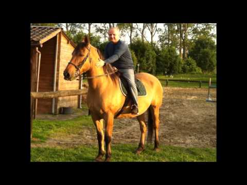 GINO CAVALIERE - CE SOIR TU DANSES