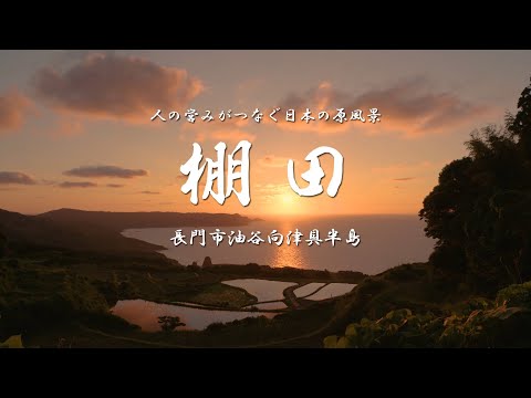 棚田PR動画（長編）