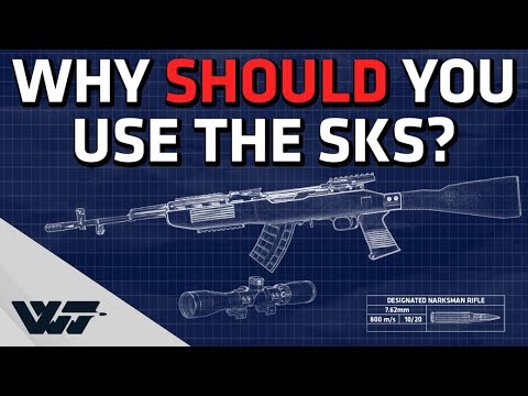 SKS GUIDE - Why should you use it? - PUBG