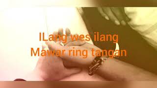 Download lagu Mawar ilang (cover) story' wa mp3