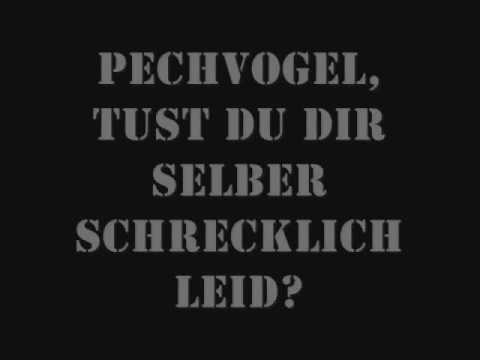 Verlorene Jungs - Pechvogel (with lyrics)