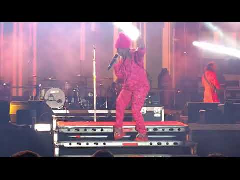 Delia Sa Mi Canti Live Baia Mare Castane 2019