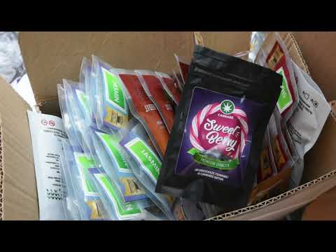 FORLI’: 83kg di marijuana bruciati, sequestrati nel 2018 nell’operazione “Canapa Light” | VIDEO