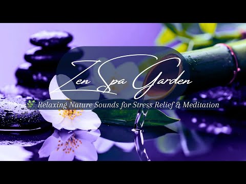 Calm Your Mind 🌿 Zen Spa Garden Sounds for Anxiety Relief  #InnerPeace #MINDFULMEDITATION