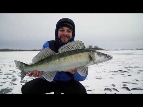 ZGT-70HH Gen.2 до 45 грамм