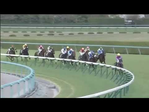 2018.04.08 Wasurenagusa Sho (JPN) - All for Love