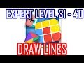 Puzzle Joy Draw Lines Expert Level 31 40 Answers