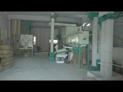 Bajra Cleaning Machine