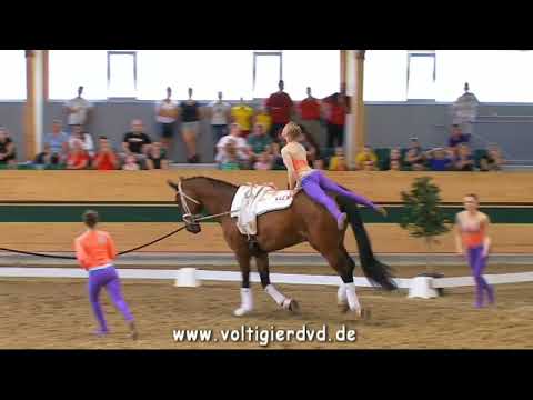 Ingelsberg Junior (GER) - CVIJ2 Squad 03 - CVI Ebreichsdorf 2017