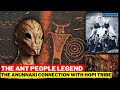 The Ant People Legend Of The Hopi Tribe And Connections To The Anunnaki