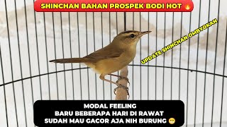 Download lagu UPDATE KERAK BASI ALIS HITAM❗BARU 4 HARI RAWATAN SUDAH MAU GACOR❗ mp3