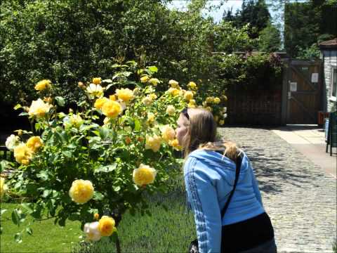 Blackwater Side - Sandy Denny