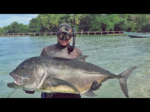 Indonesia spearfishing - The world they live in