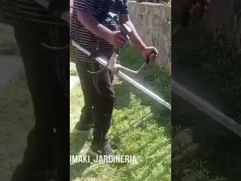 Jardín limpio y verde en Villa Alemana! 🌿✨ #Jardineria #Shorts #youtubeshorts