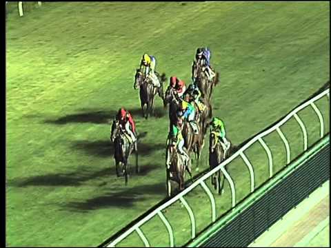 Galoppo 18/07/2015 - 5° corsa Pr. Città di Napoli