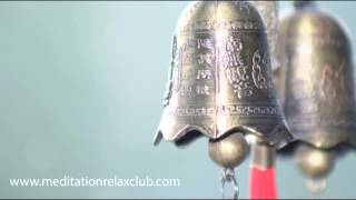 Relax | Relaxing Nature Sounds,Bird Songs,Water Sounds,Rain Forest,Music to Sleep