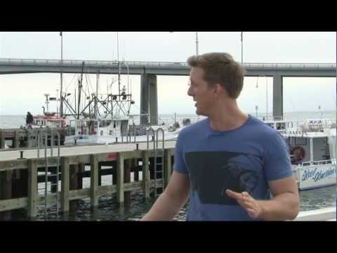 Aaron Mac Travel Reel #4