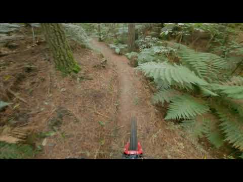 Kung Fu Walrus, Rotorua, New Zealand