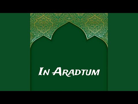 In Aradtum
