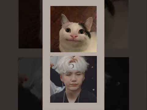 Suga + Cat...😺😂#suga#bts#btsarmy