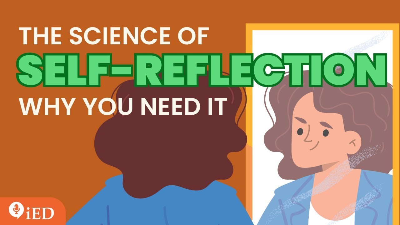 The Science of Self-Reflection: Why You Need It | 🎧Podcast and Chill | TED Talk Daily