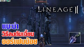 Lineage II | แนะนำ วิธีลงดันเจี้ยน ออร์เฟนน้อย