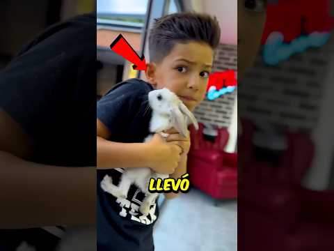 Trajo a su Conejo de compañía 🐇 a la Escuela 🏫 Pero lo que pasó después te sorprenderá 😱